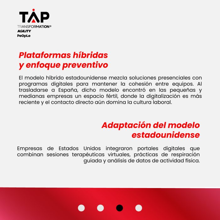 Bienestar-laboral-digital-internacional_3