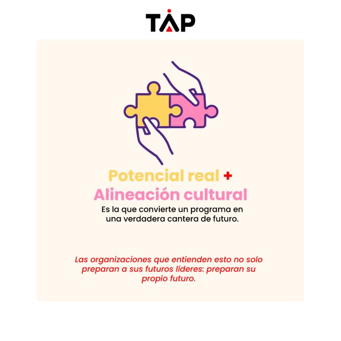 Programas-de-Desarrollo-de-Talento_5