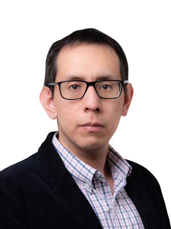 Ricardo-Bendezú